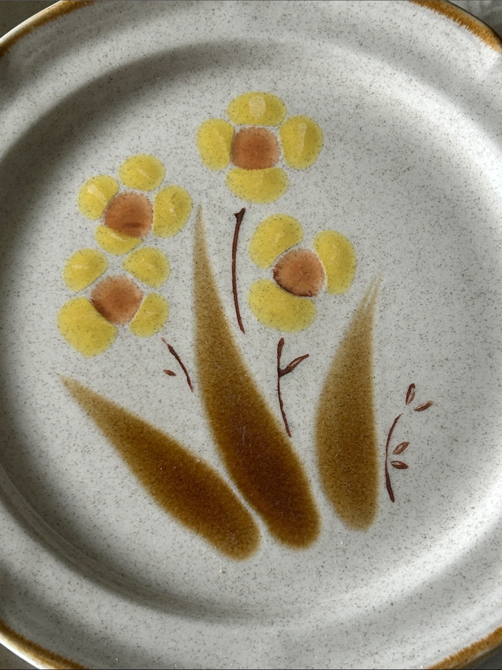 Hearthside Classics Wellington Hand painted Stoneware Dinnerware set of 9 pcs - Picture 3 of 5